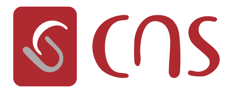 computer network systemes cns logo