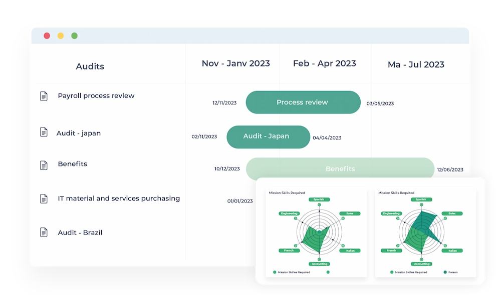 Plan your audit