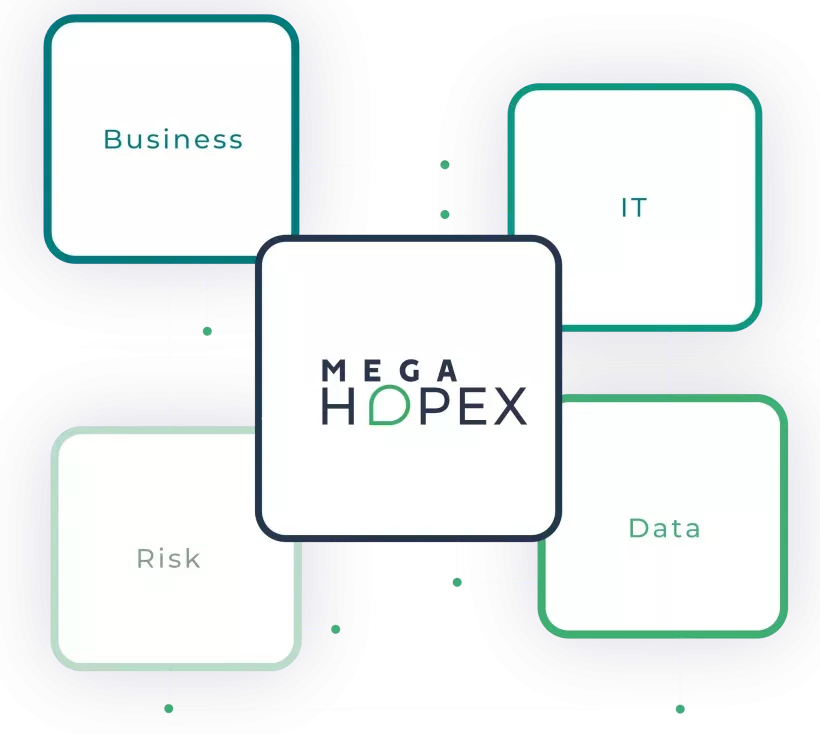 service company management software hopex