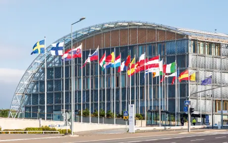 Building entrance with a row of European flags in daylight