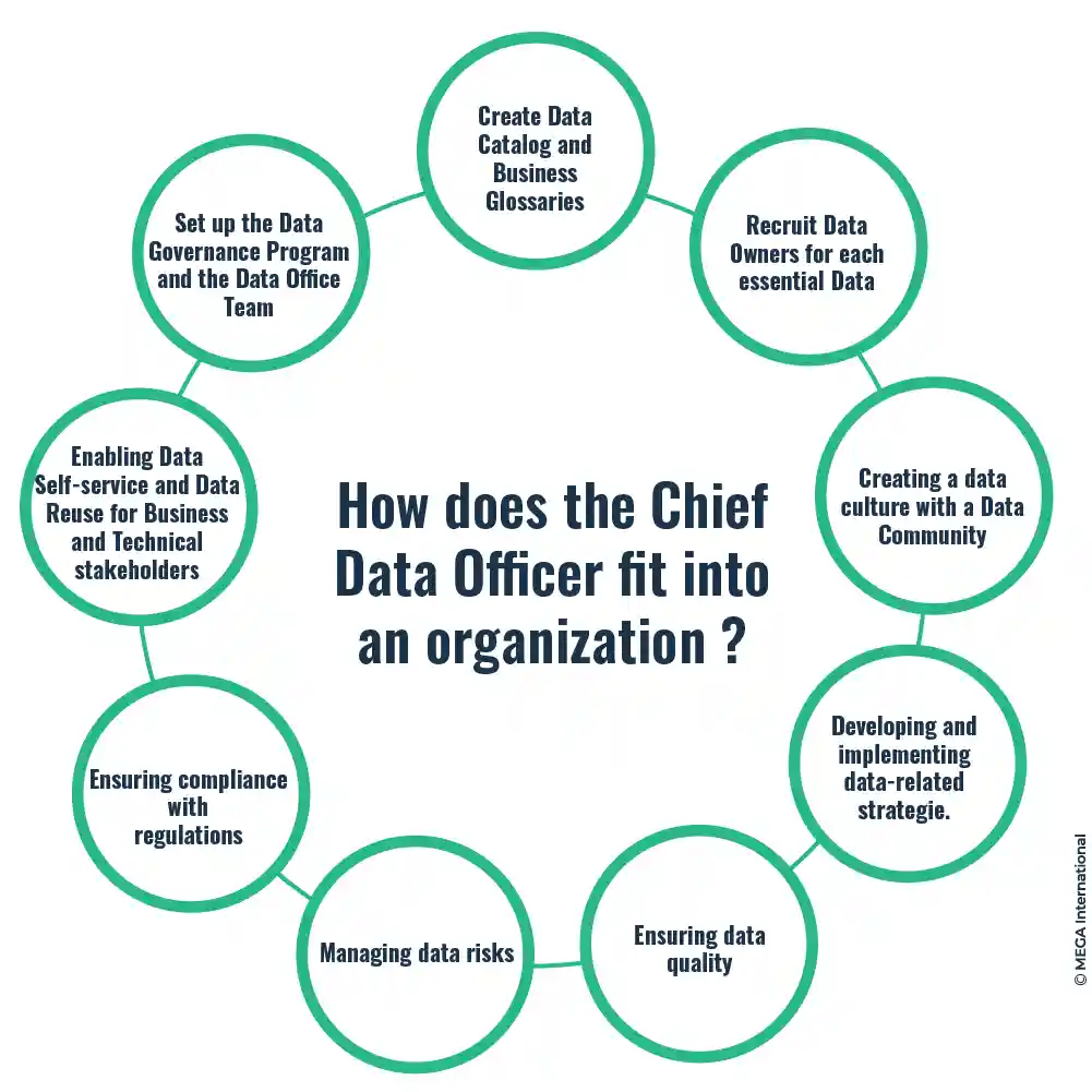 How does the Chief Data Officer fit into an organization?