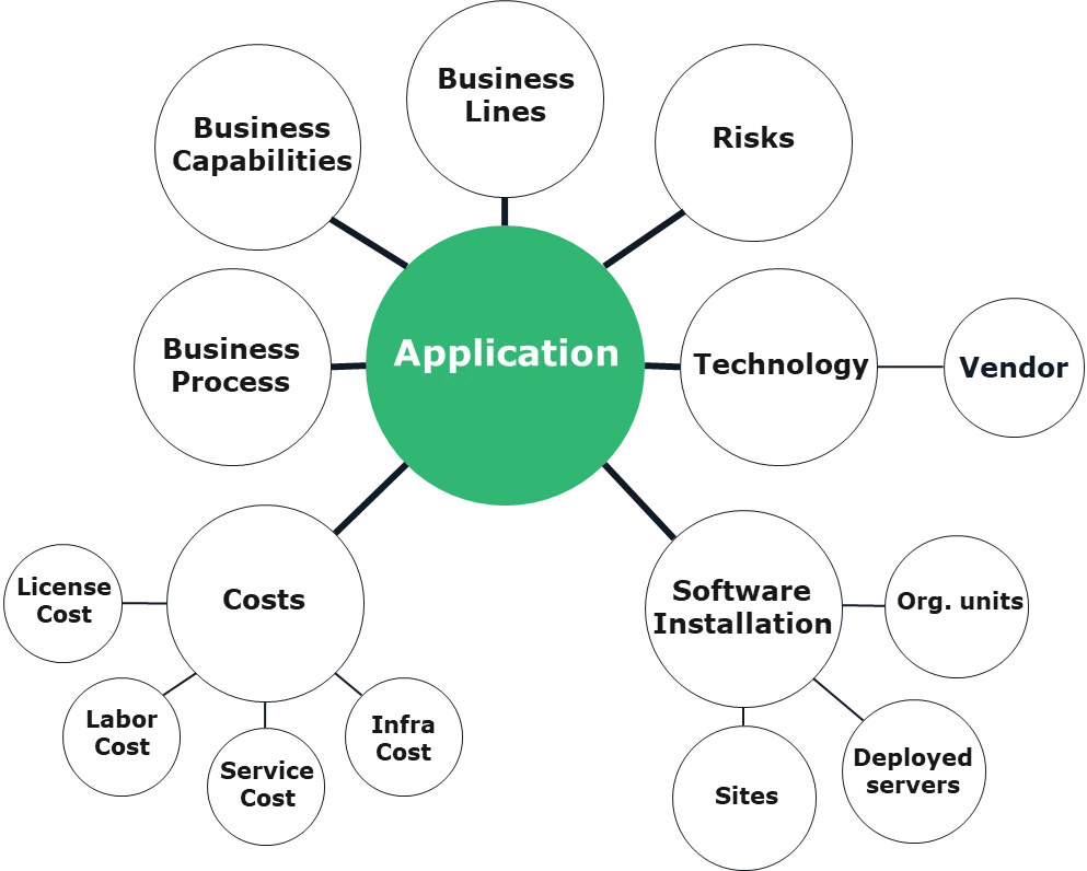 What does Application Portfolio Management Provide?
