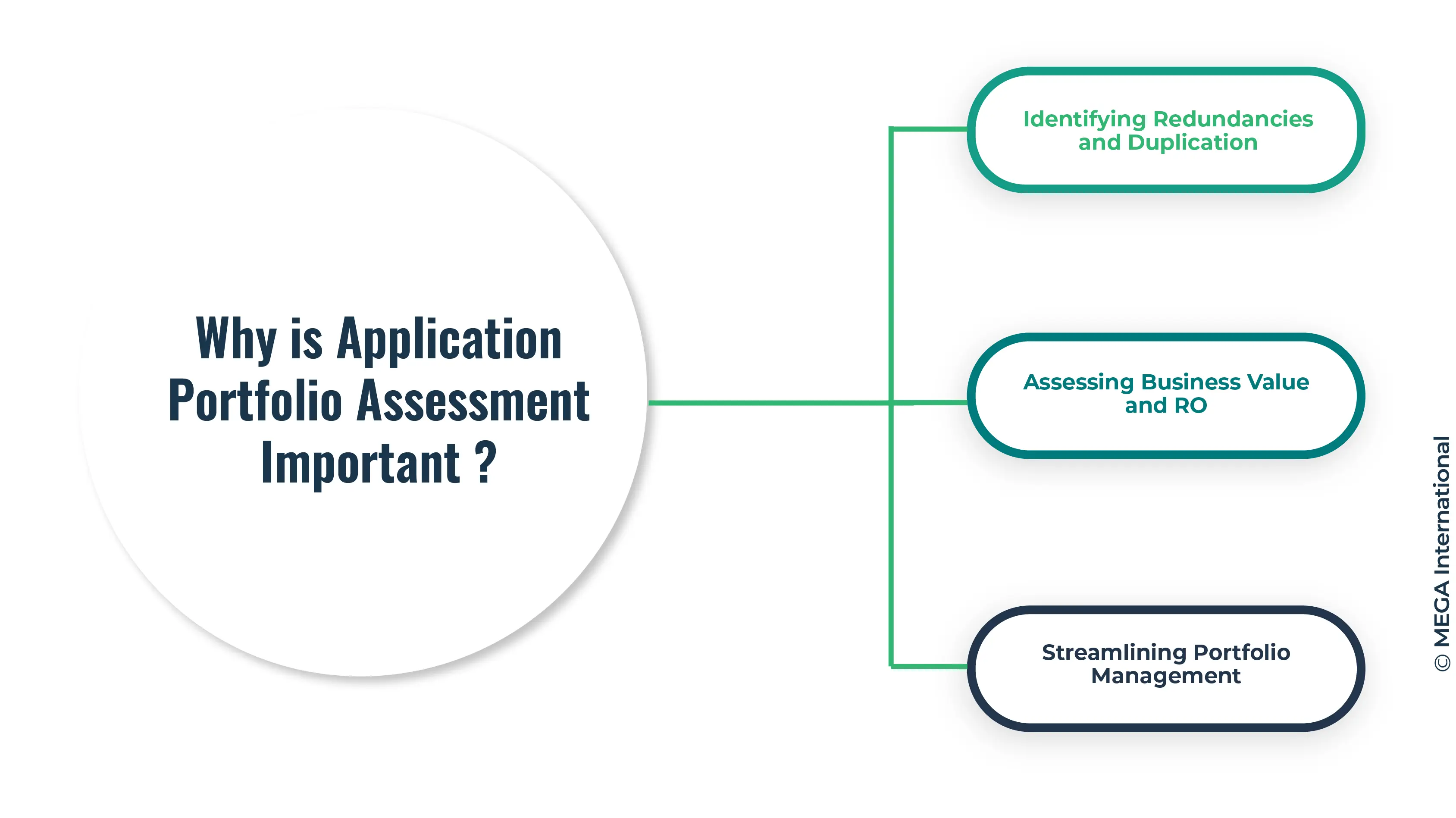 why is application portfolio assessment Important