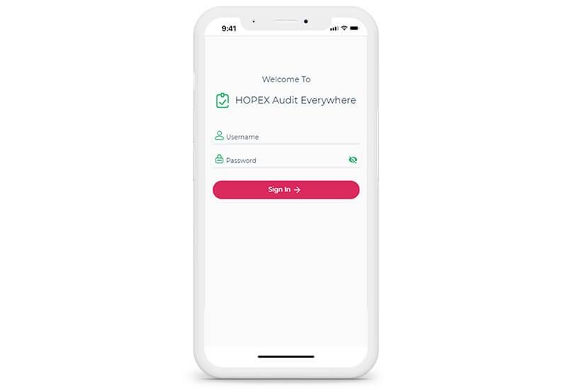 HOPEX Audit Everywhere