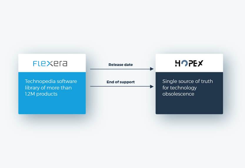 Flexera Technopedia