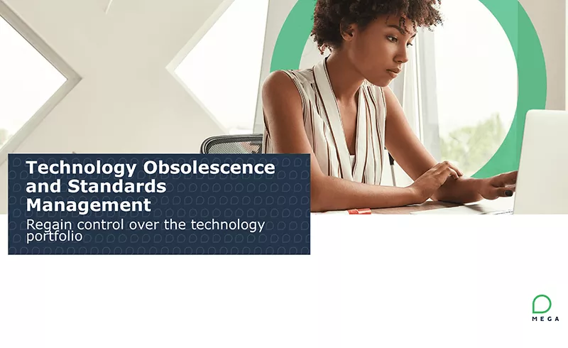 Technology Obsolescence and Standard Management