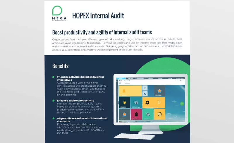HOPEX Internal Audit