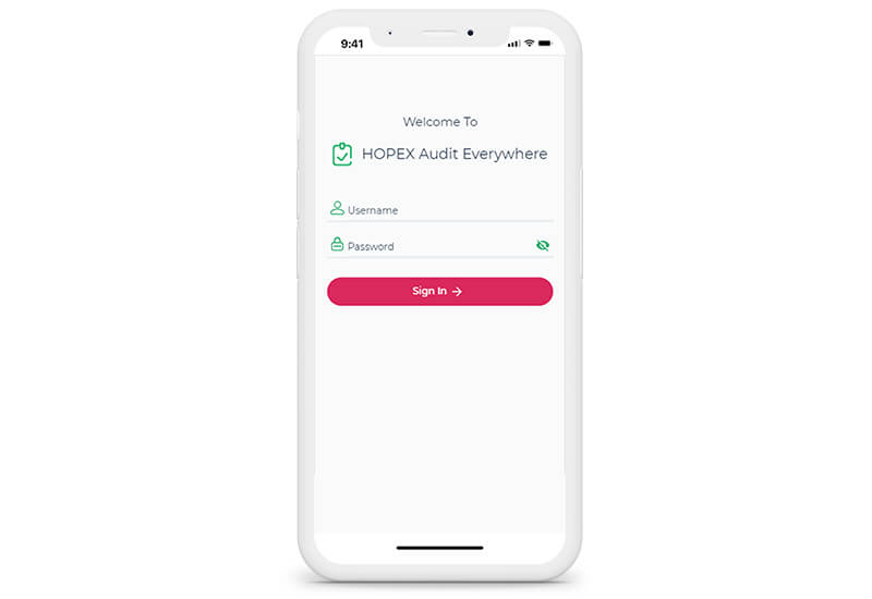 HOPEX Audit Everywhere