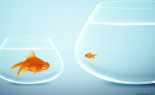 How do you know you’ve outgrown your Enterprise Architecture tool?